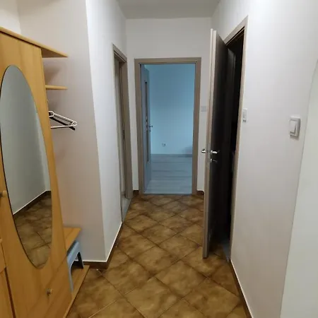 Oasis Ii. Szeged